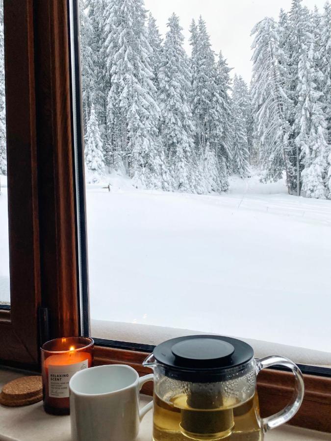 Ski Area 202 Apt, The Castle 1, Παμπόροβο Εξωτερικό φωτογραφία