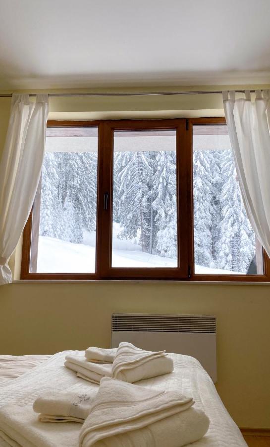 Ski Area 202 Apt, The Castle 1, Παμπόροβο Εξωτερικό φωτογραφία